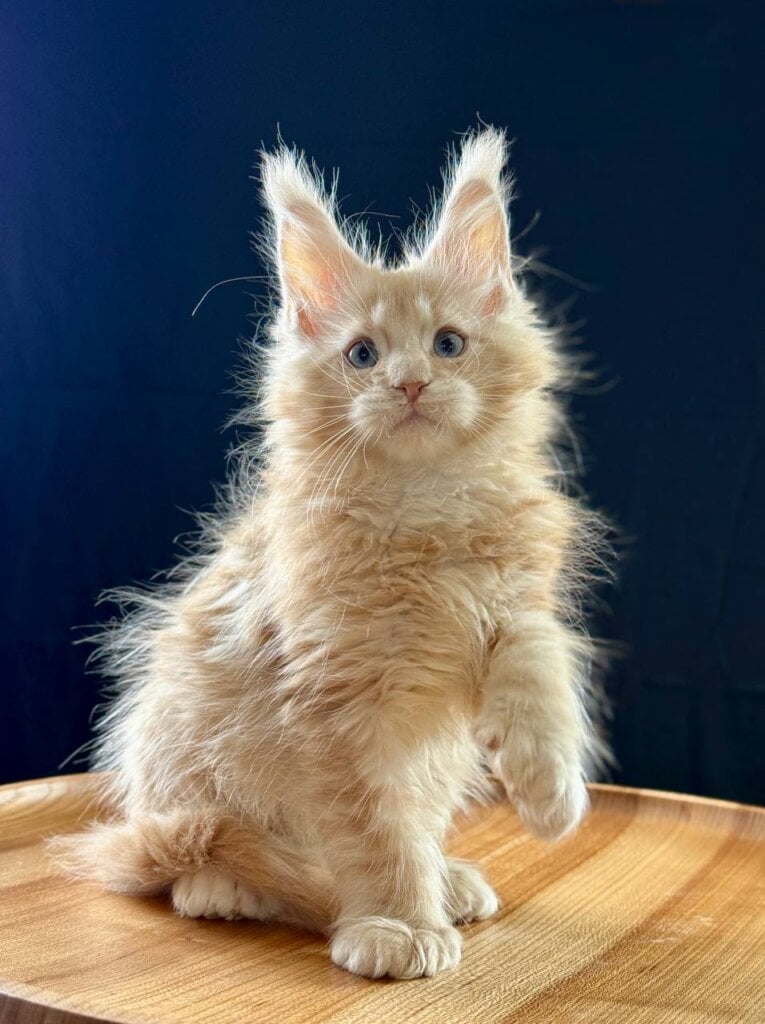 Photo 2026 02 21 21 15 13