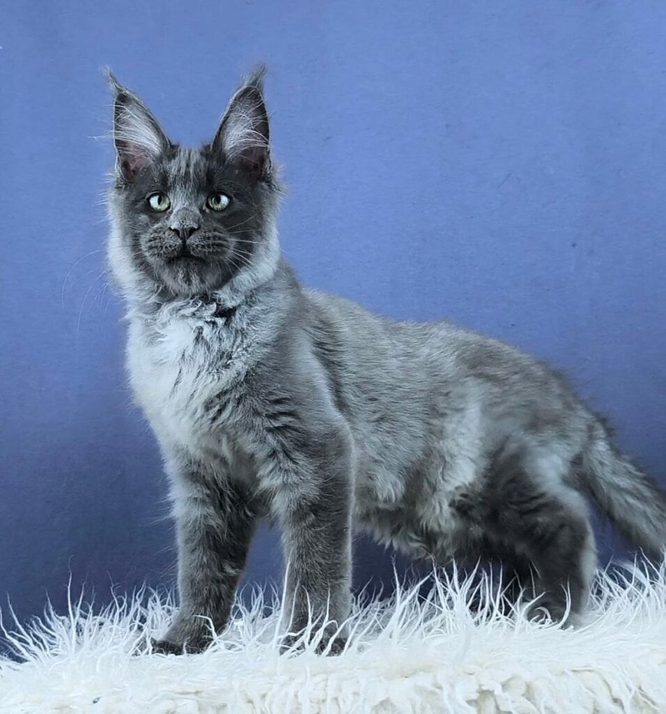 Photo 2026 02 22 00 20 00