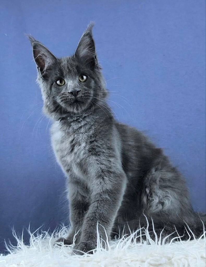 Photo 2026 02 22 00 22 15 4