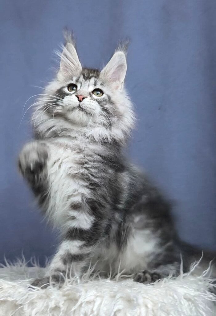 Photo 2026 02 22 00 37 15