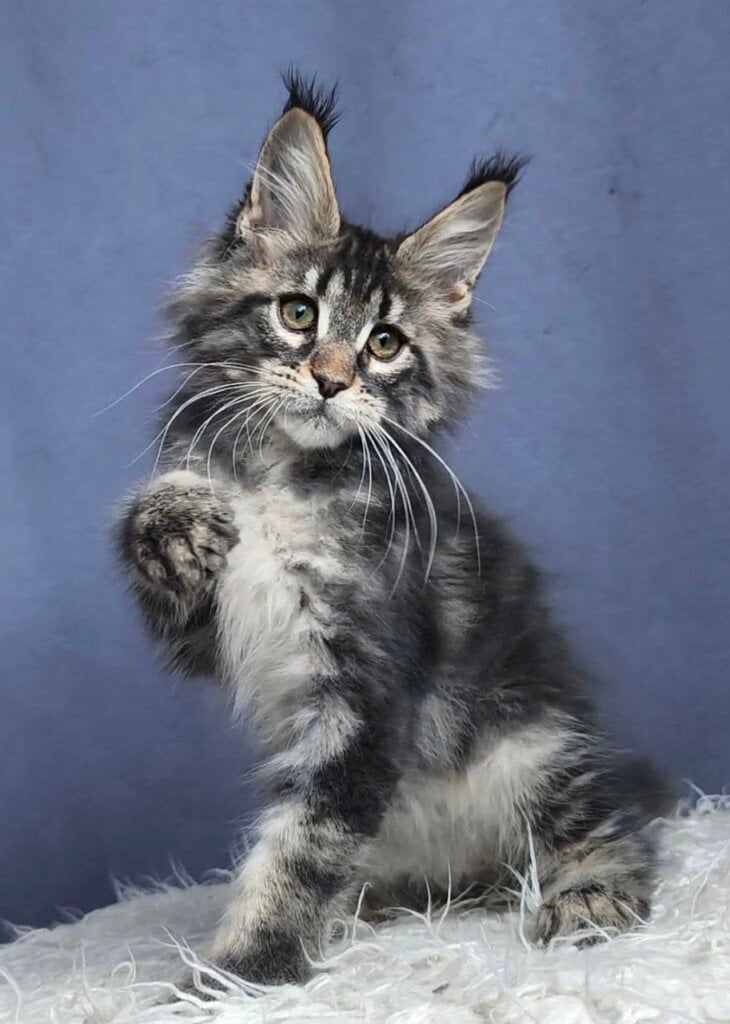 Photo 2026 02 22 00 40 07 2