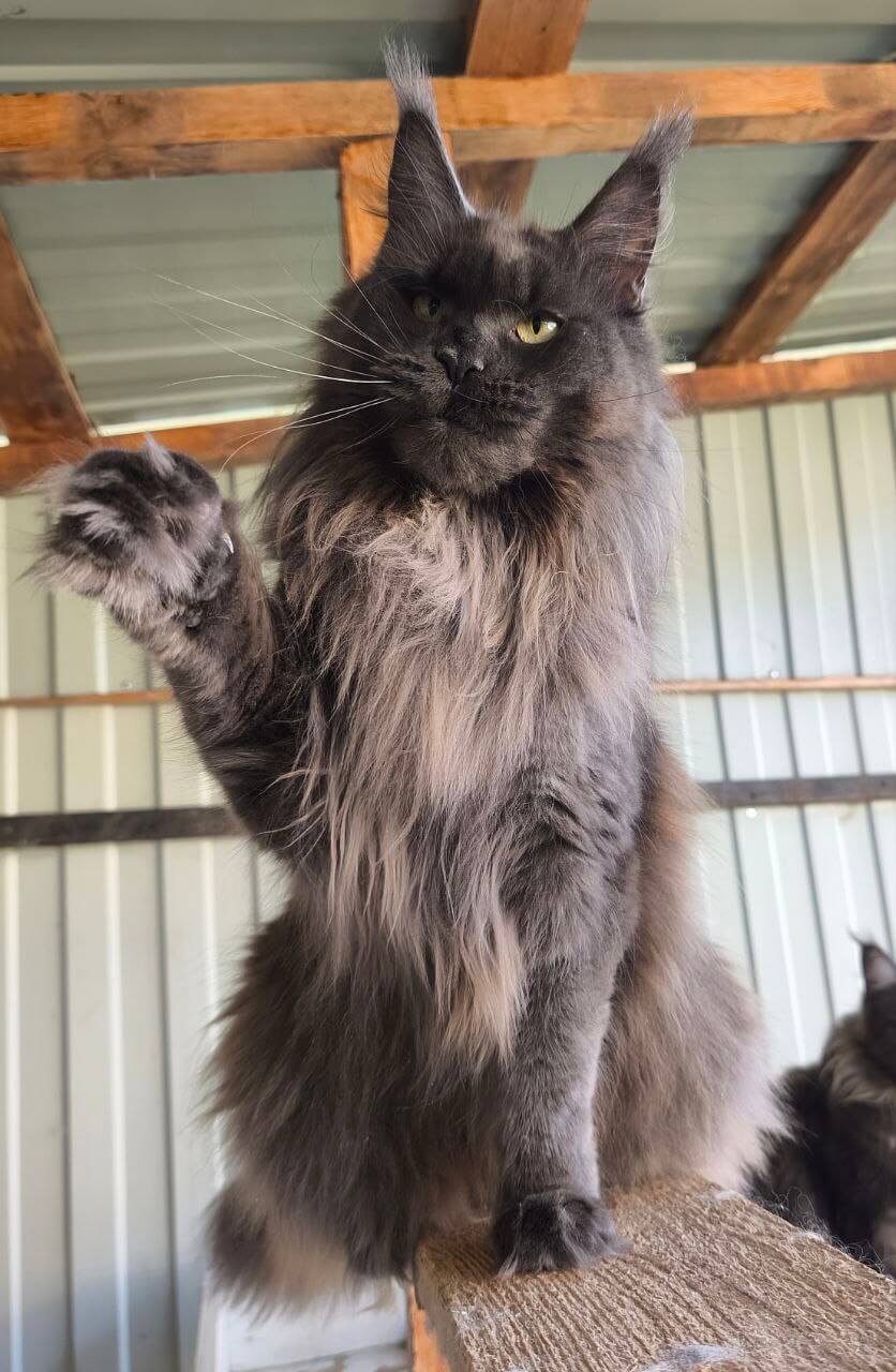 Photo 2026 02 22 00 43 18 2