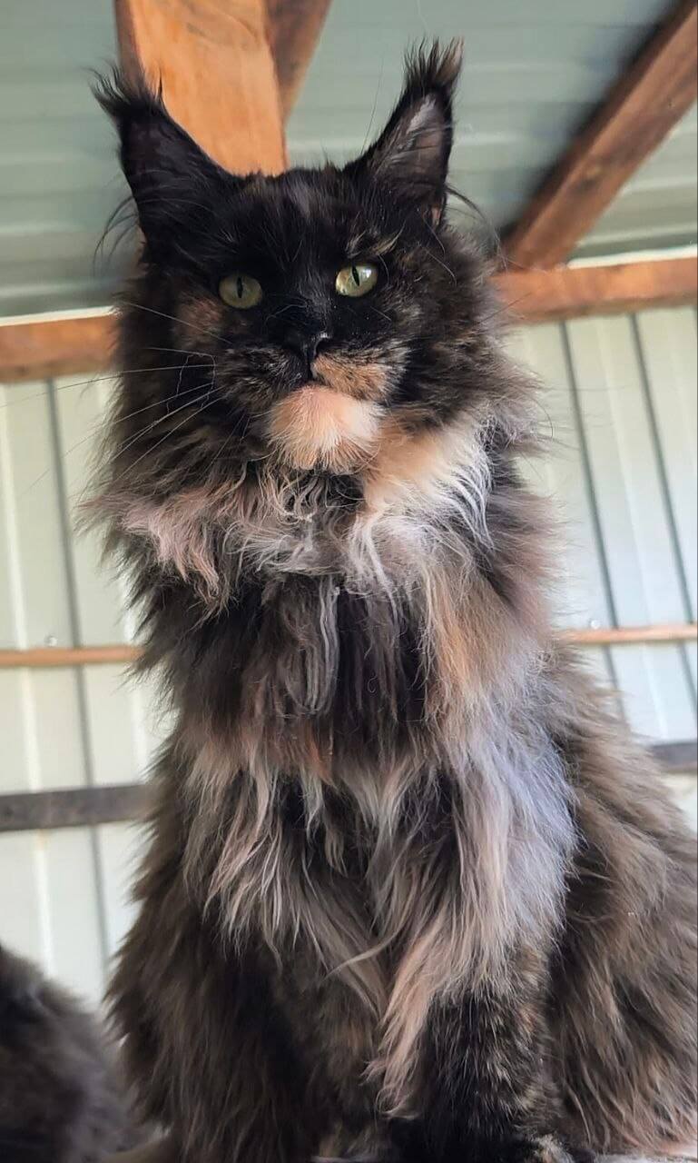 Photo 2026 02 22 00 44 36