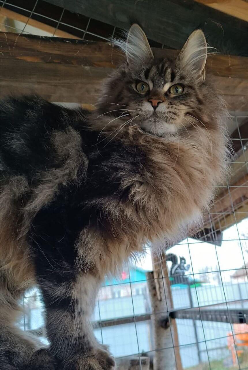 Photo 2026 02 22 00 45 52