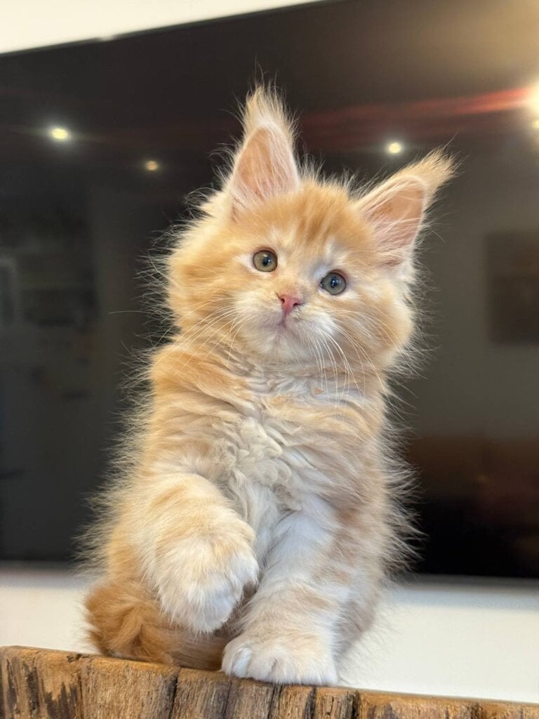 Photo 2026 02 22 10 42 56