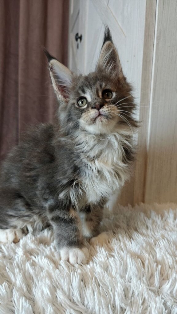 Photo 2026 02 22 16 59 09