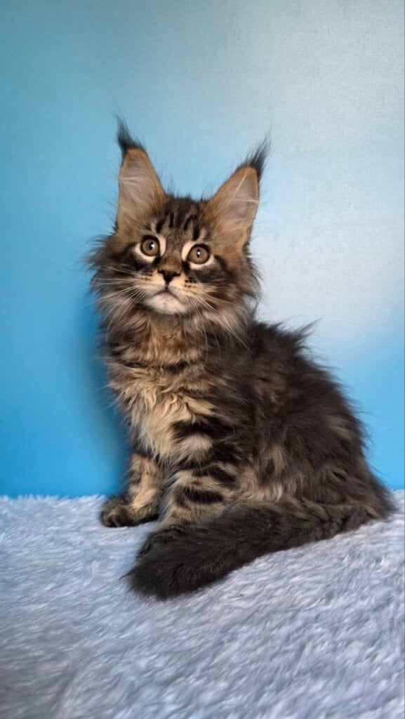 Photo 2026 02 23 20 48 27