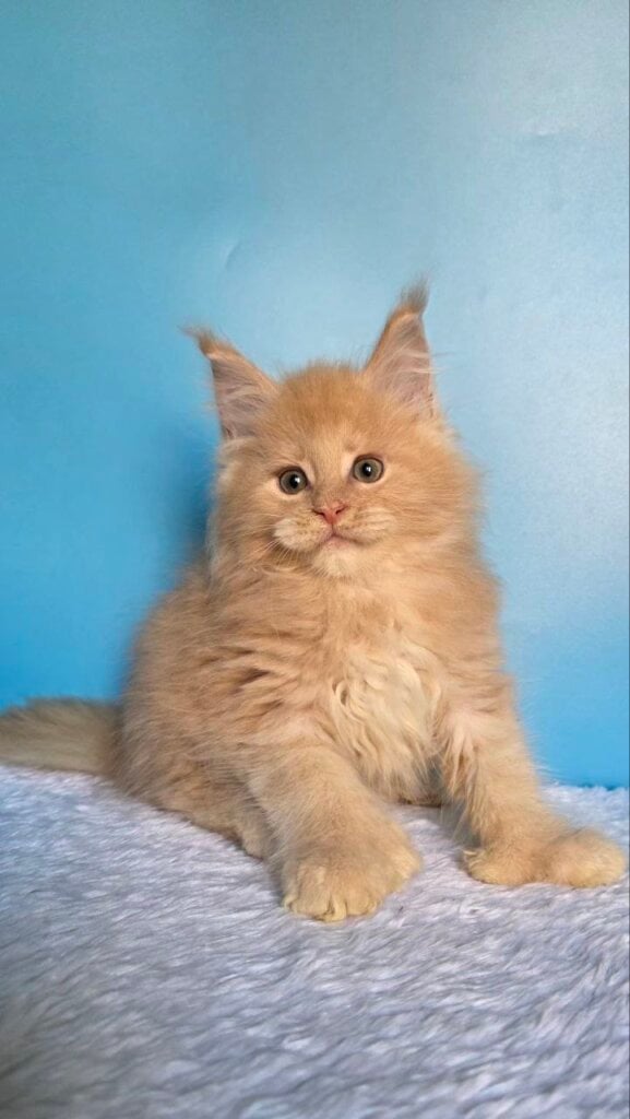 Photo 2026 02 23 21 07 30 2