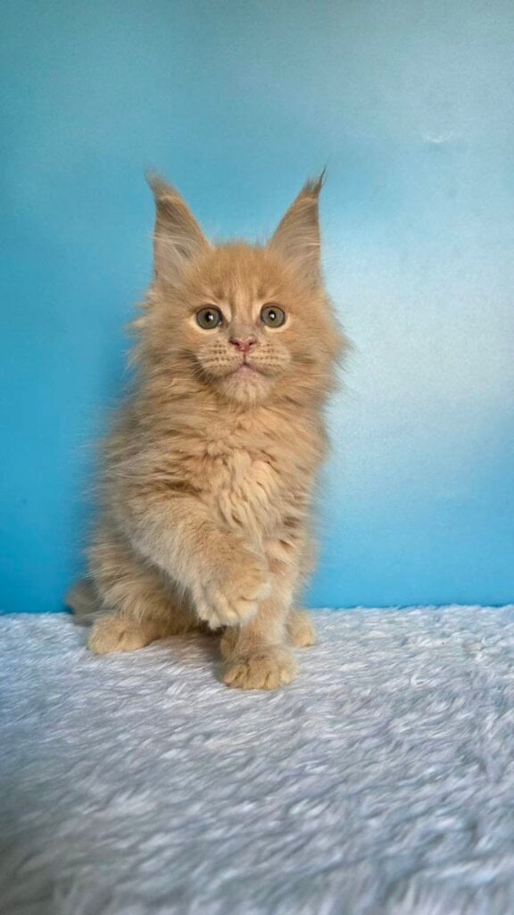 Photo 2026 02 23 21 12 02 2