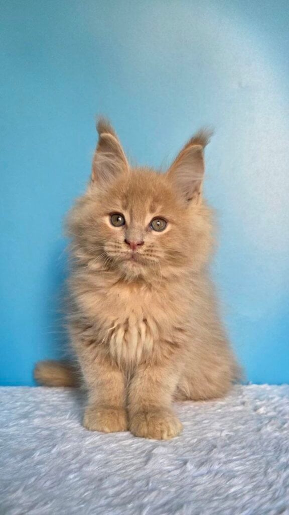 Photo 2026 02 23 21 13 44 2