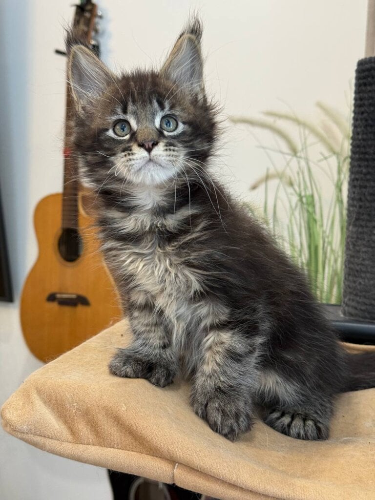 Photo 2026 02 24 13 07 43 2