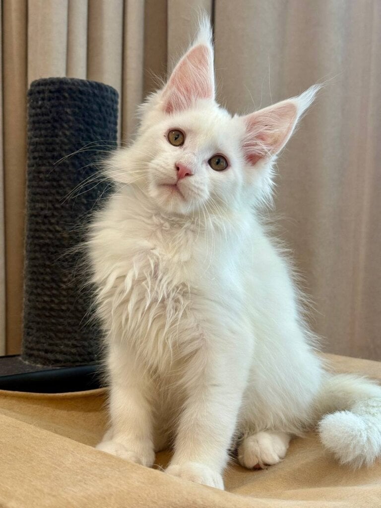 Photo 2026 02 24 13 16 48