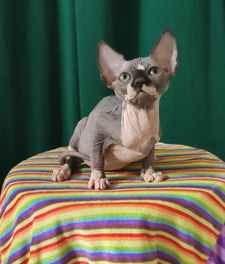 Photo 2026 02 25 01 07 58