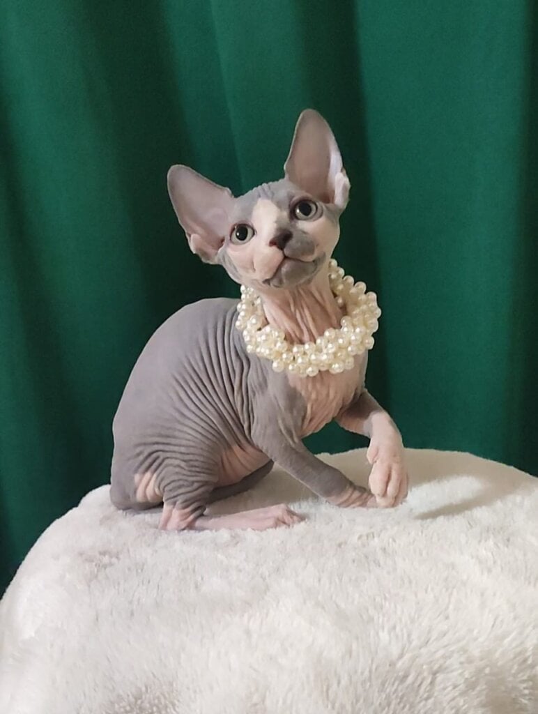 Photo 2026 02 25 01 17 23 2