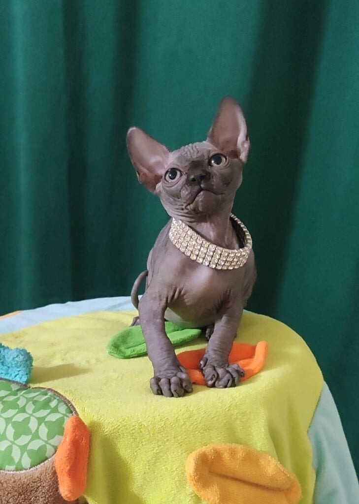 Photo 2026 02 25 01 22 17 2