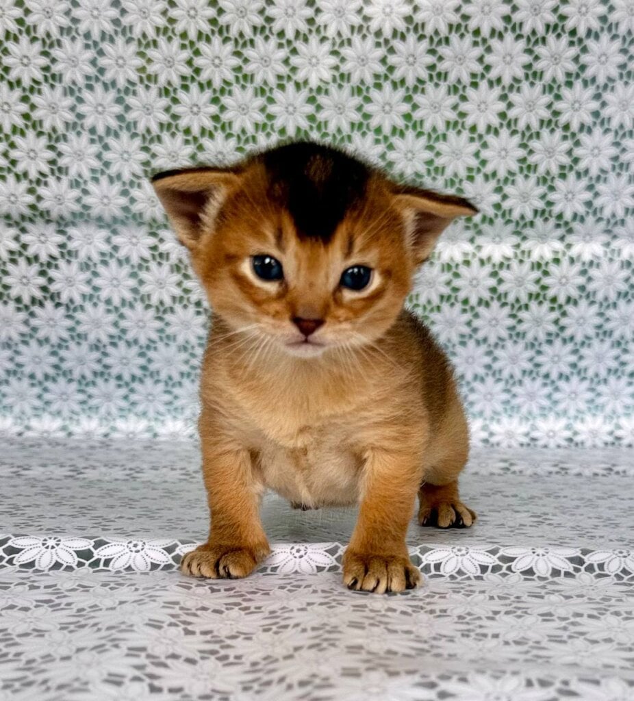 Photo 2026 02 27 10 50 46