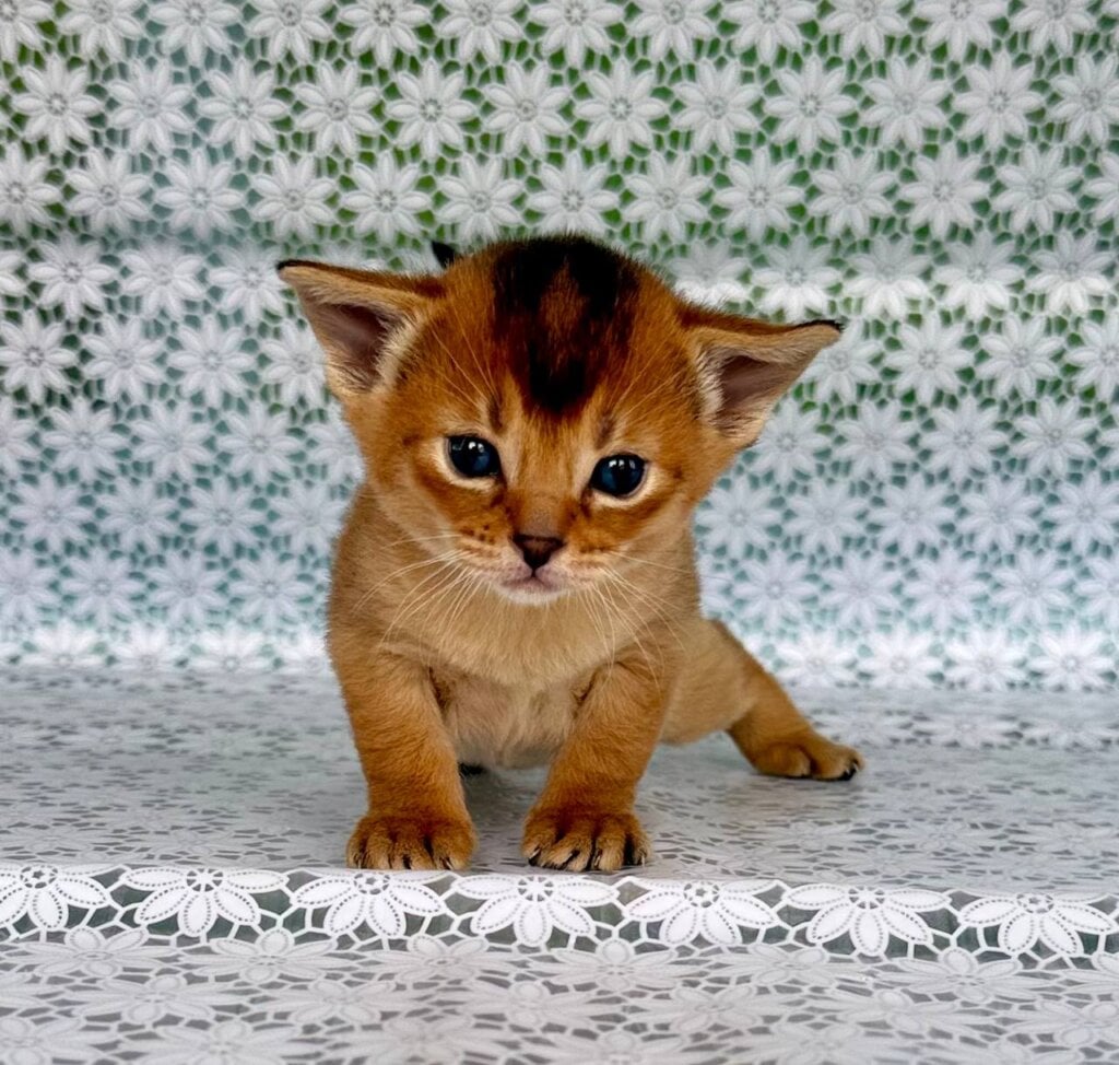 Photo 2026 02 27 10 53 58