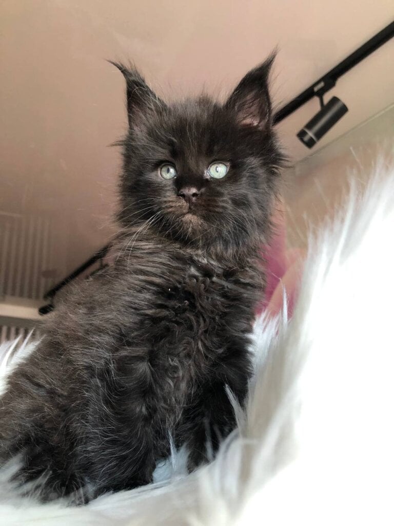 Photo 2026 02 28 15 59 49