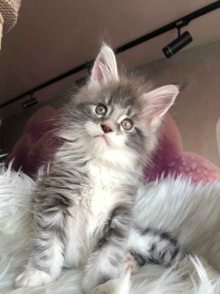 Photo 2026 02 28 16 00 46