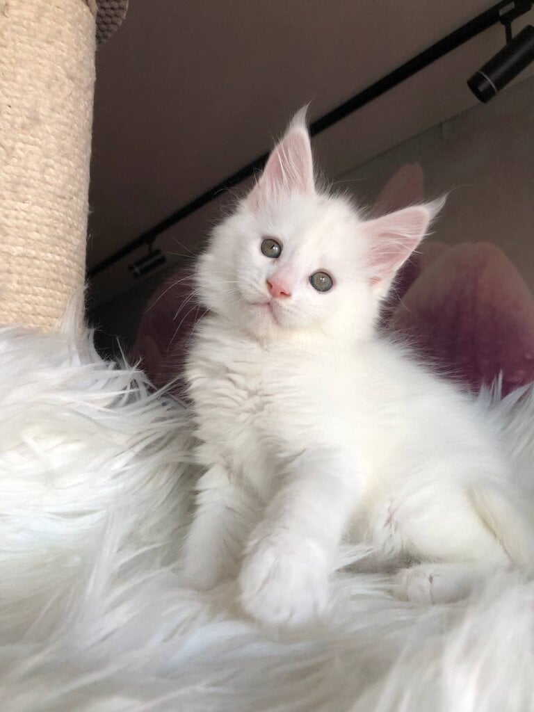 Photo 2026 02 28 16 01 31