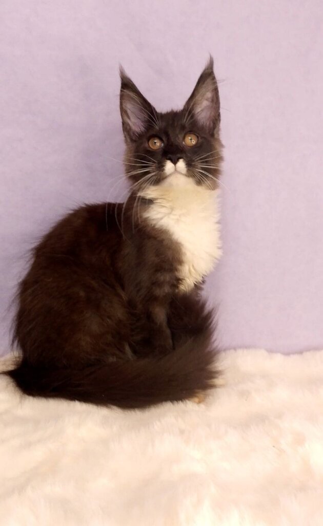 Photo 2026 03 18 15 46 51