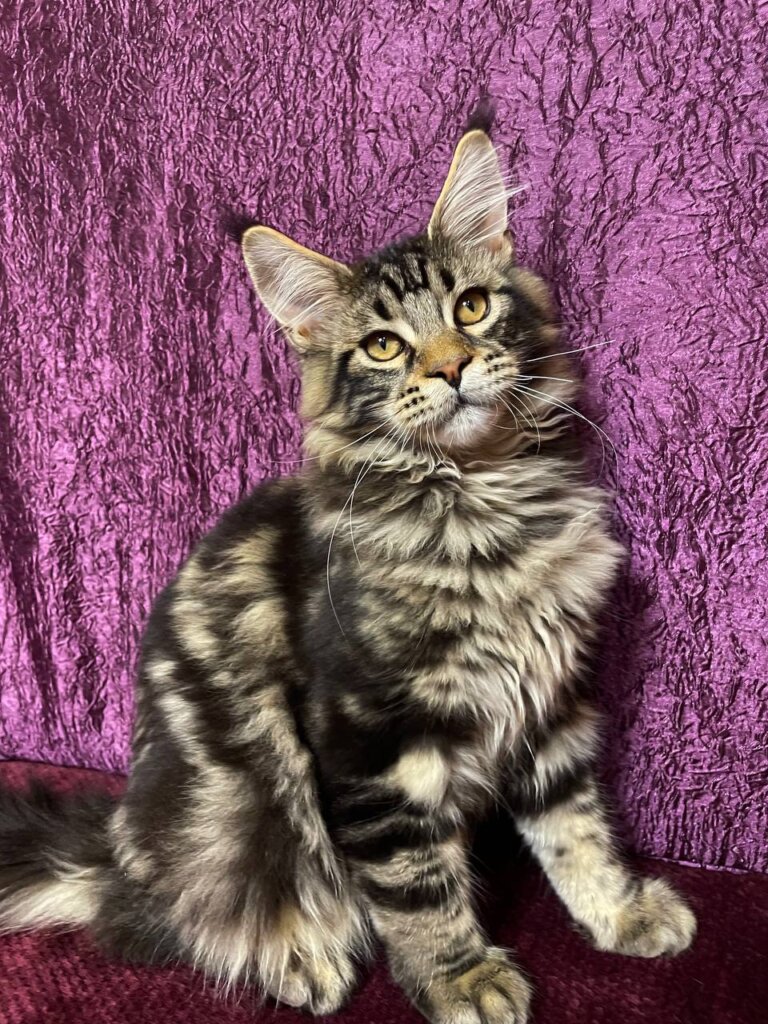 Photo 2026 03 20 18 30 00