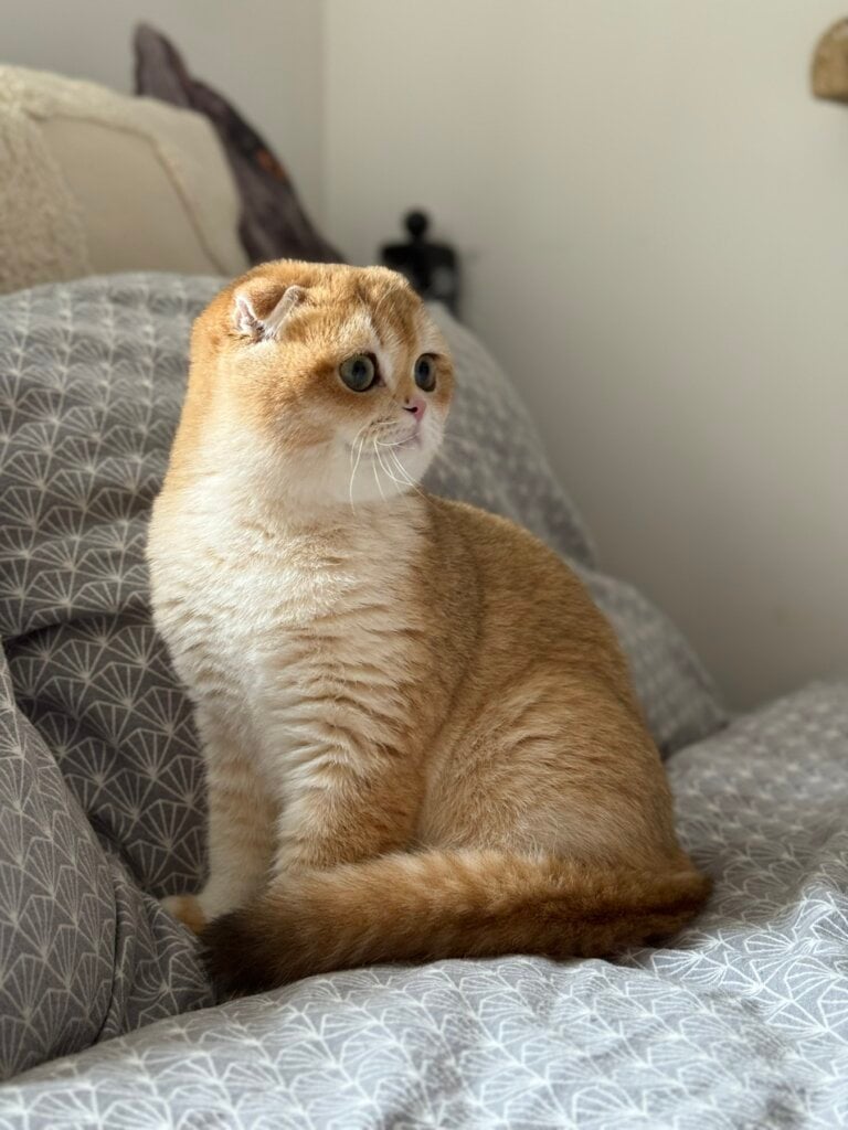 изображение Viber 2026 03 29 14 21 55 177