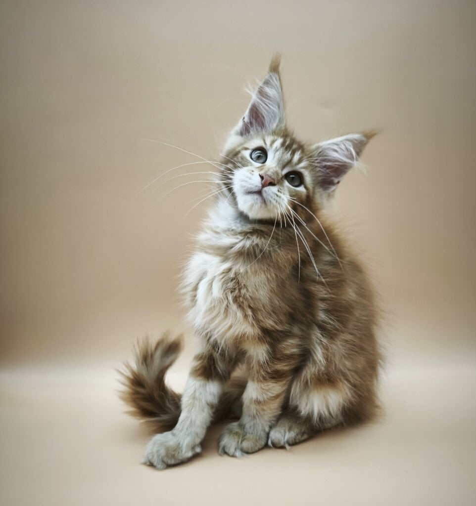 Img 20260321 171829 1