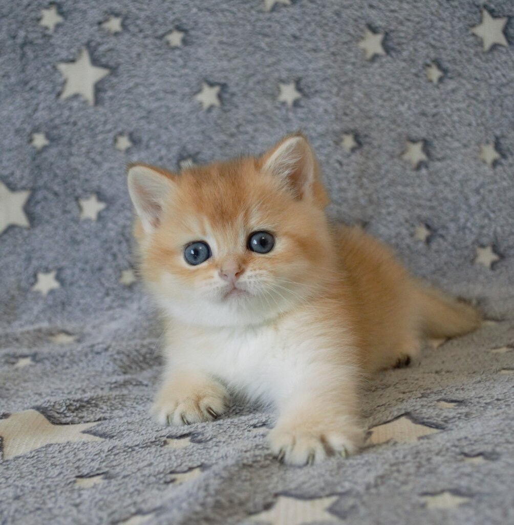 Img 20260322 101034 183