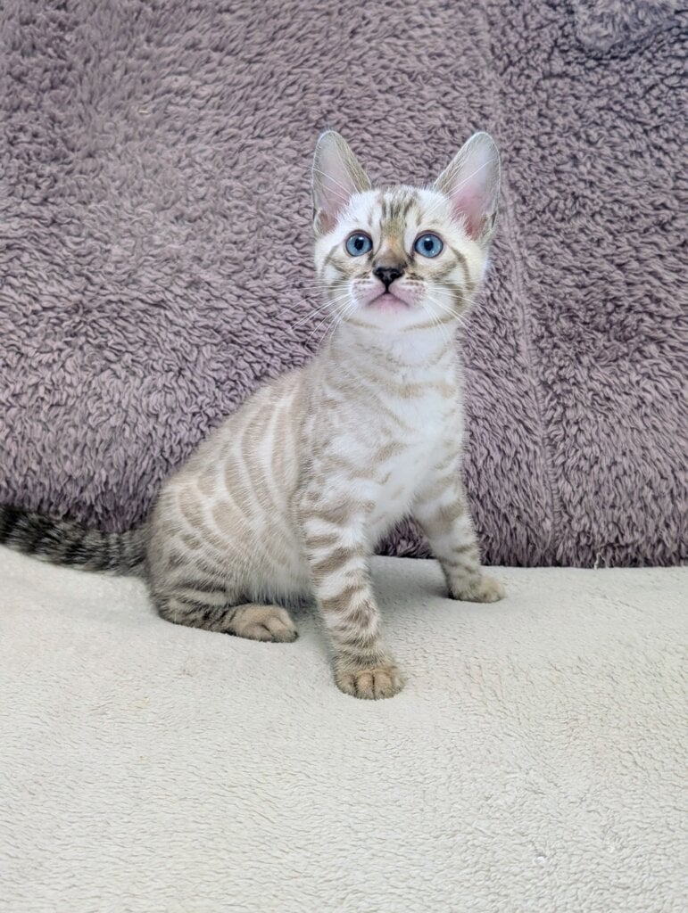 Pxl 20260309 074830397.portrait.original2