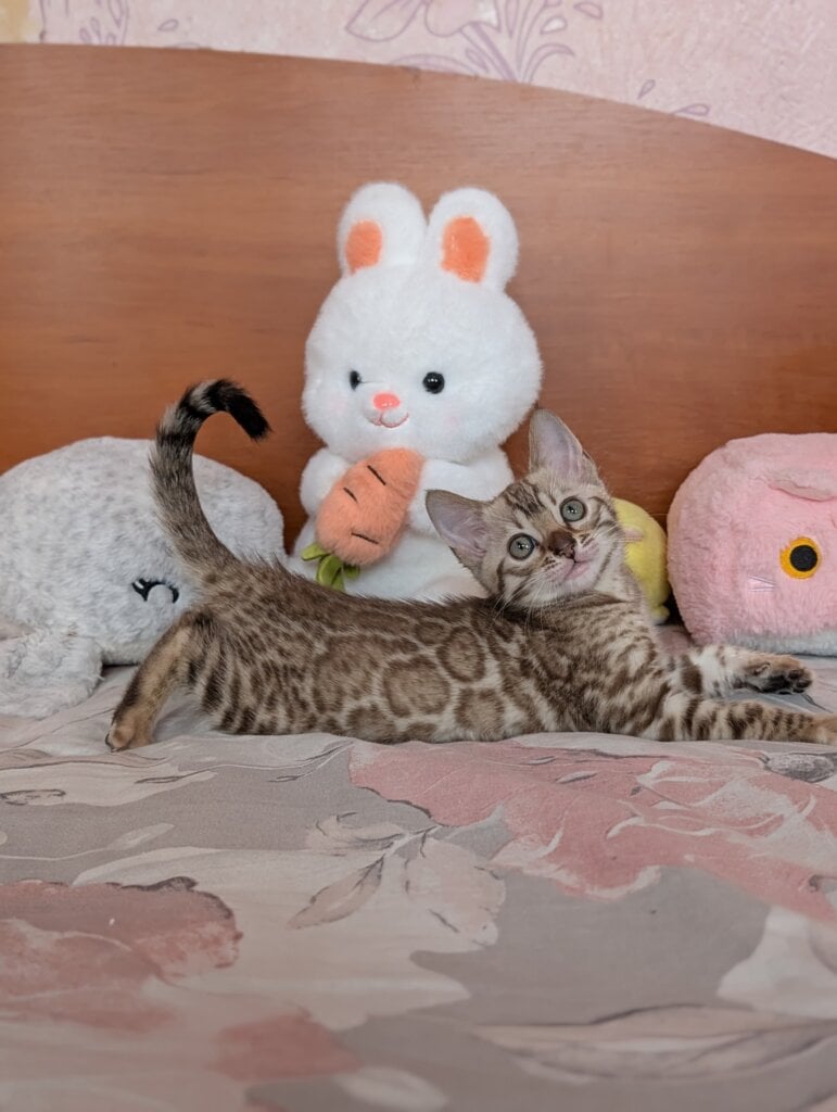 Pxl 20260313 094050226.portrait2