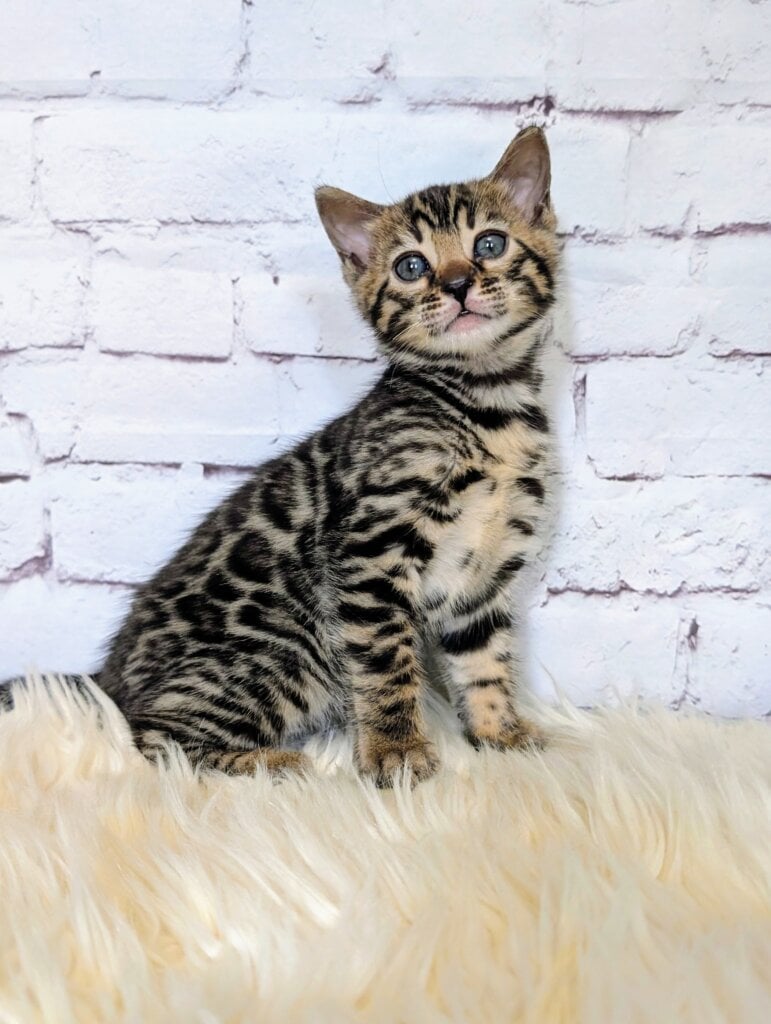 Pxl 20260325 1103266143