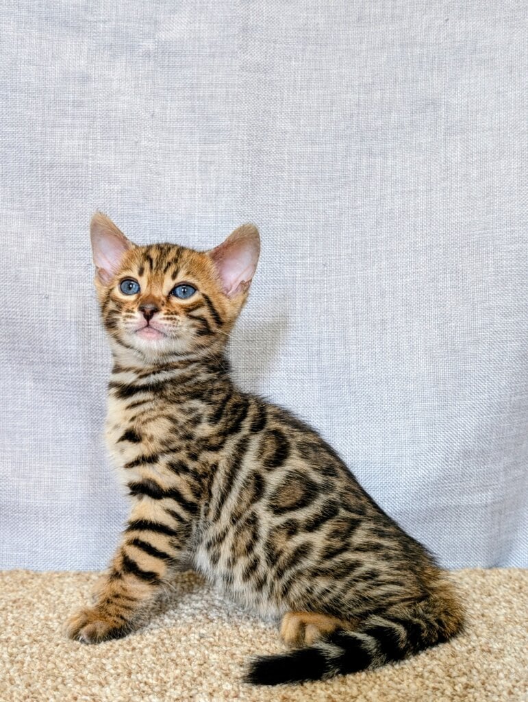 Pxl 20260325 1118098622