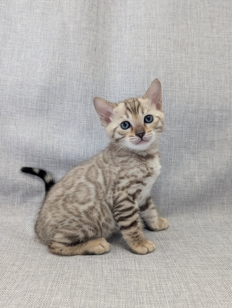 Pxl 20260327 094705850.portrait.original