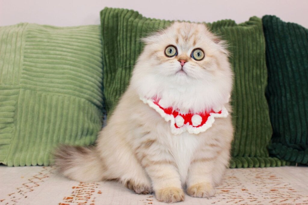 Photo 2026 02 25 02 22 14