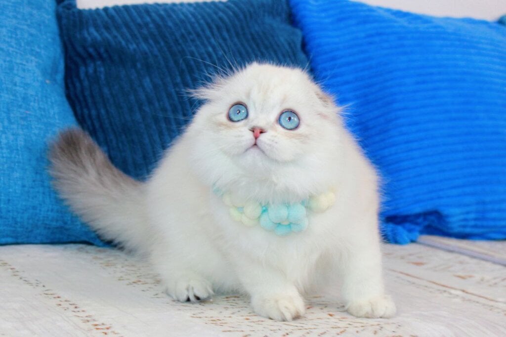 Photo 2026 02 26 19 24 36 2