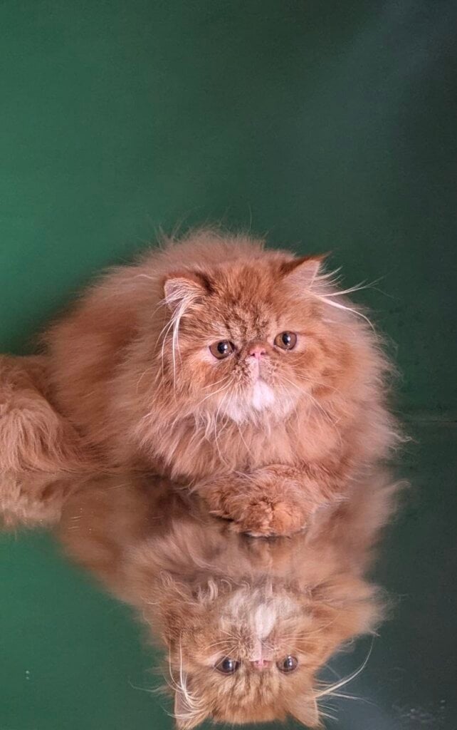 Photo 2026 02 27 06 47 00