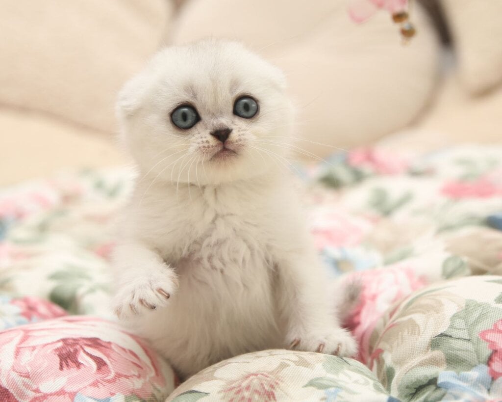 Photo 2026 02 28 09 55 55 2