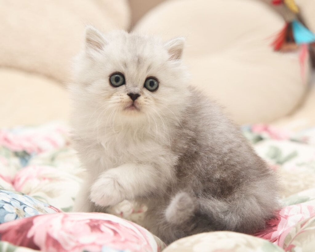 Photo 2026 02 28 10 00 08 2