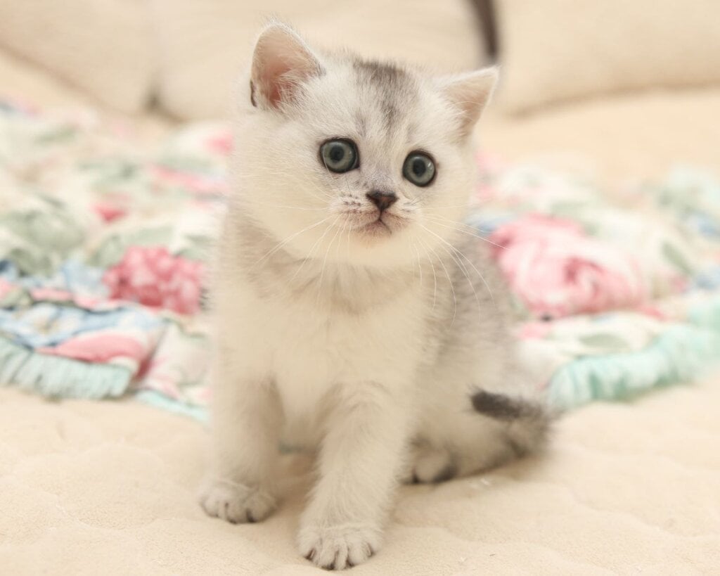 Photo 2026 02 28 10 06 28 3