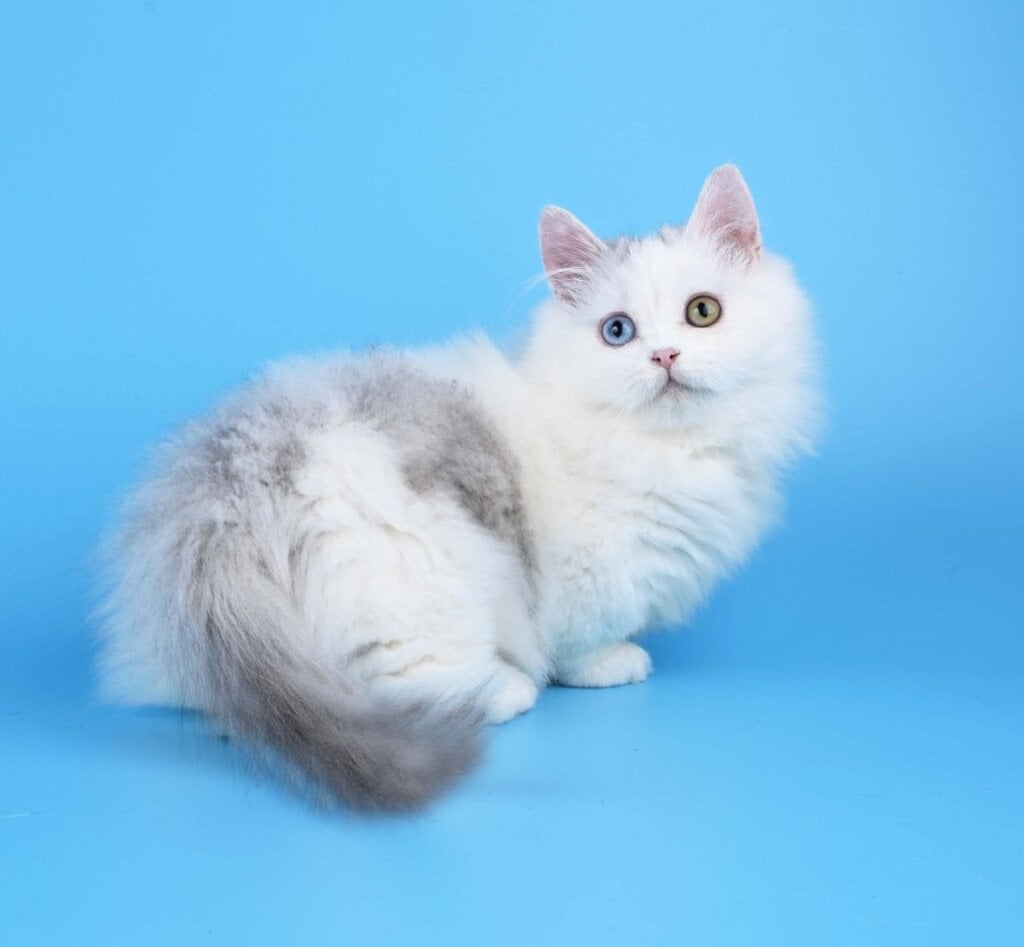 Photo 2026 03 01 10 27 06 3