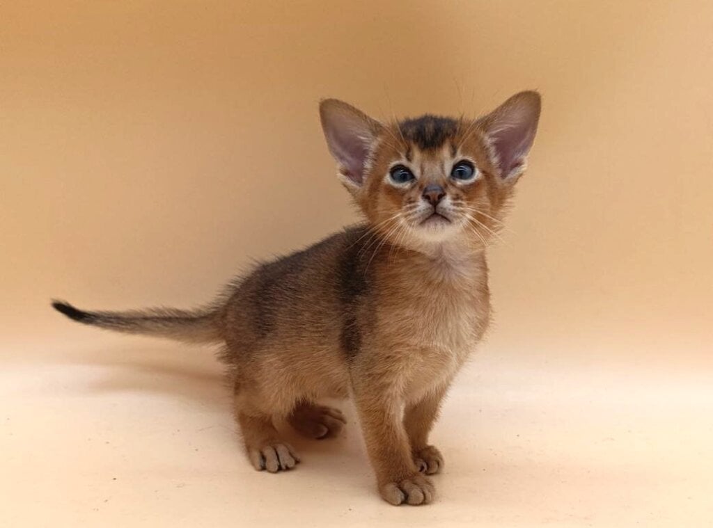 Photo 2026 03 02 11 54 07 2