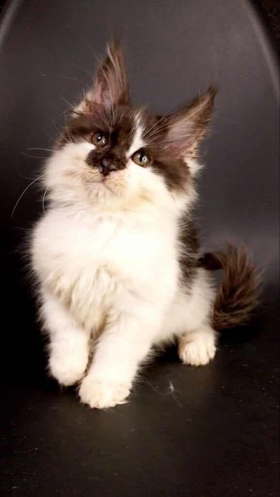 Photo 2026 03 02 12 30 37