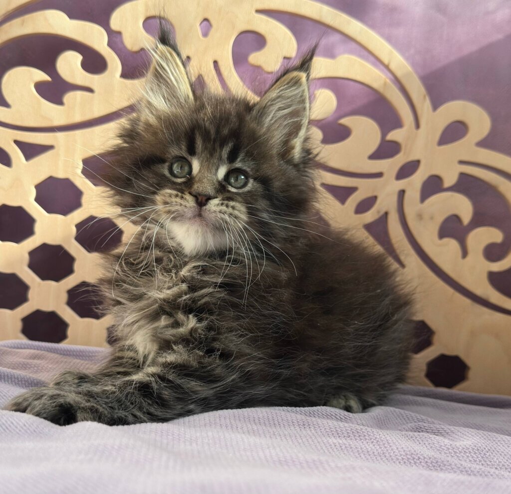 Photo 2026 03 02 12 43 56