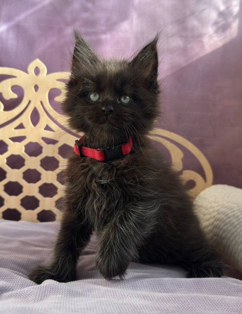 Photo 2026 03 02 12 48 05