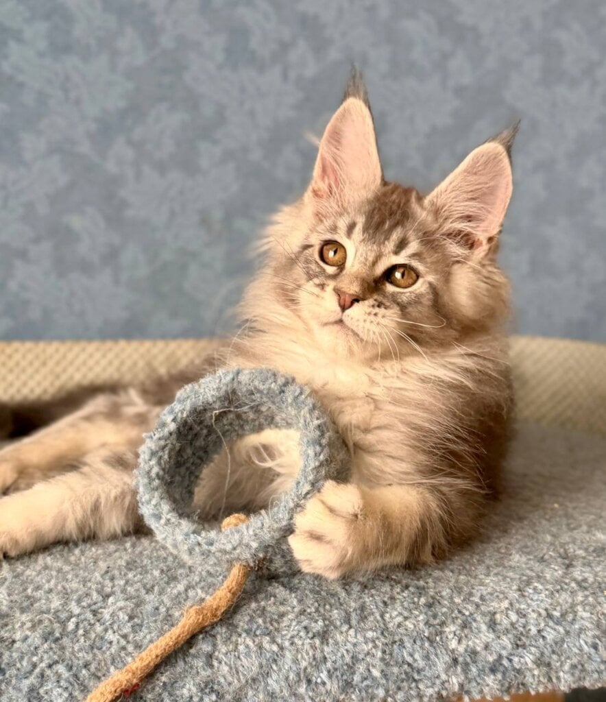 Photo 2026 03 02 18 10 10 3