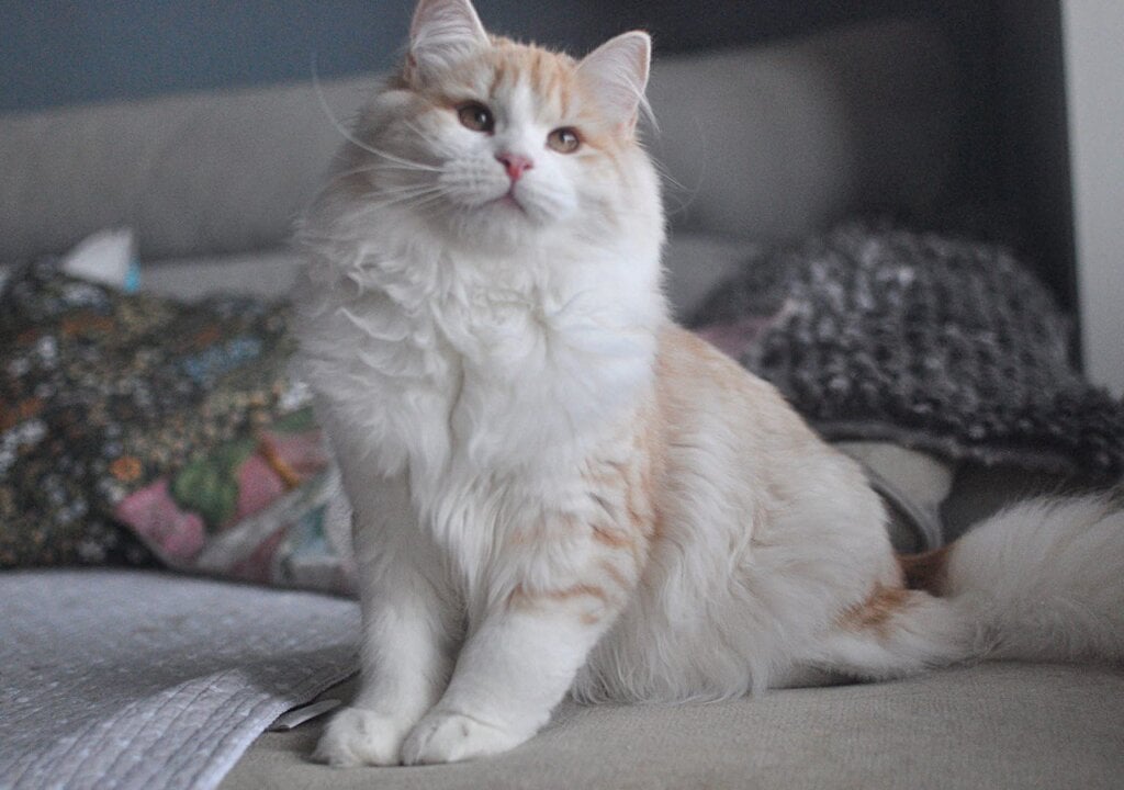 Photo 2026 03 03 12 25 04