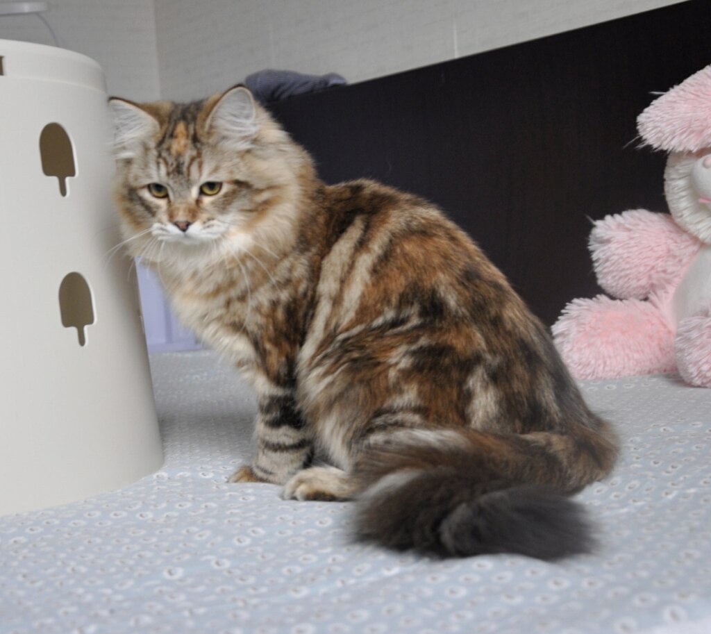 Photo 2026 03 03 13 35 19