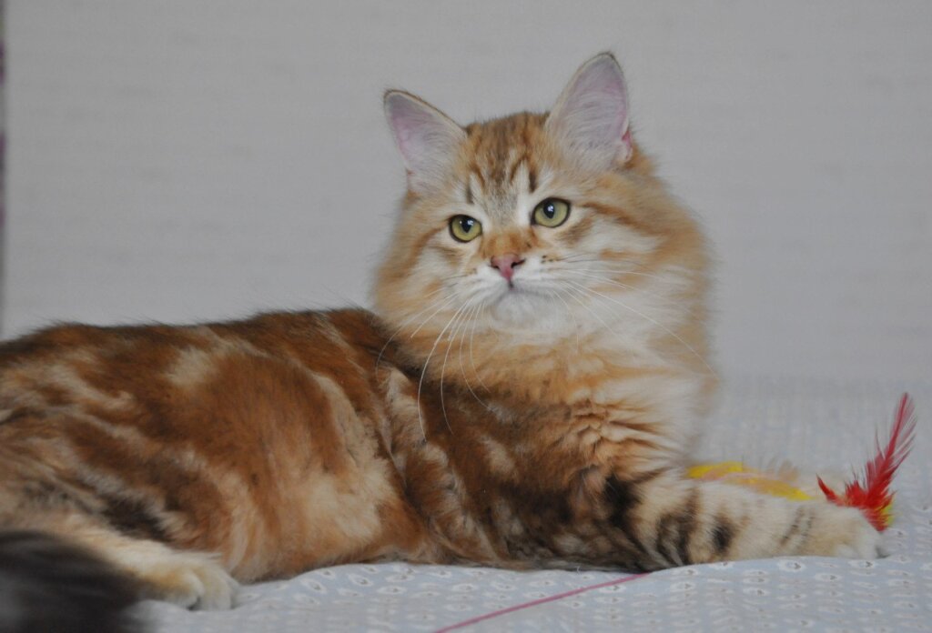 Photo 2026 03 03 13 56 21