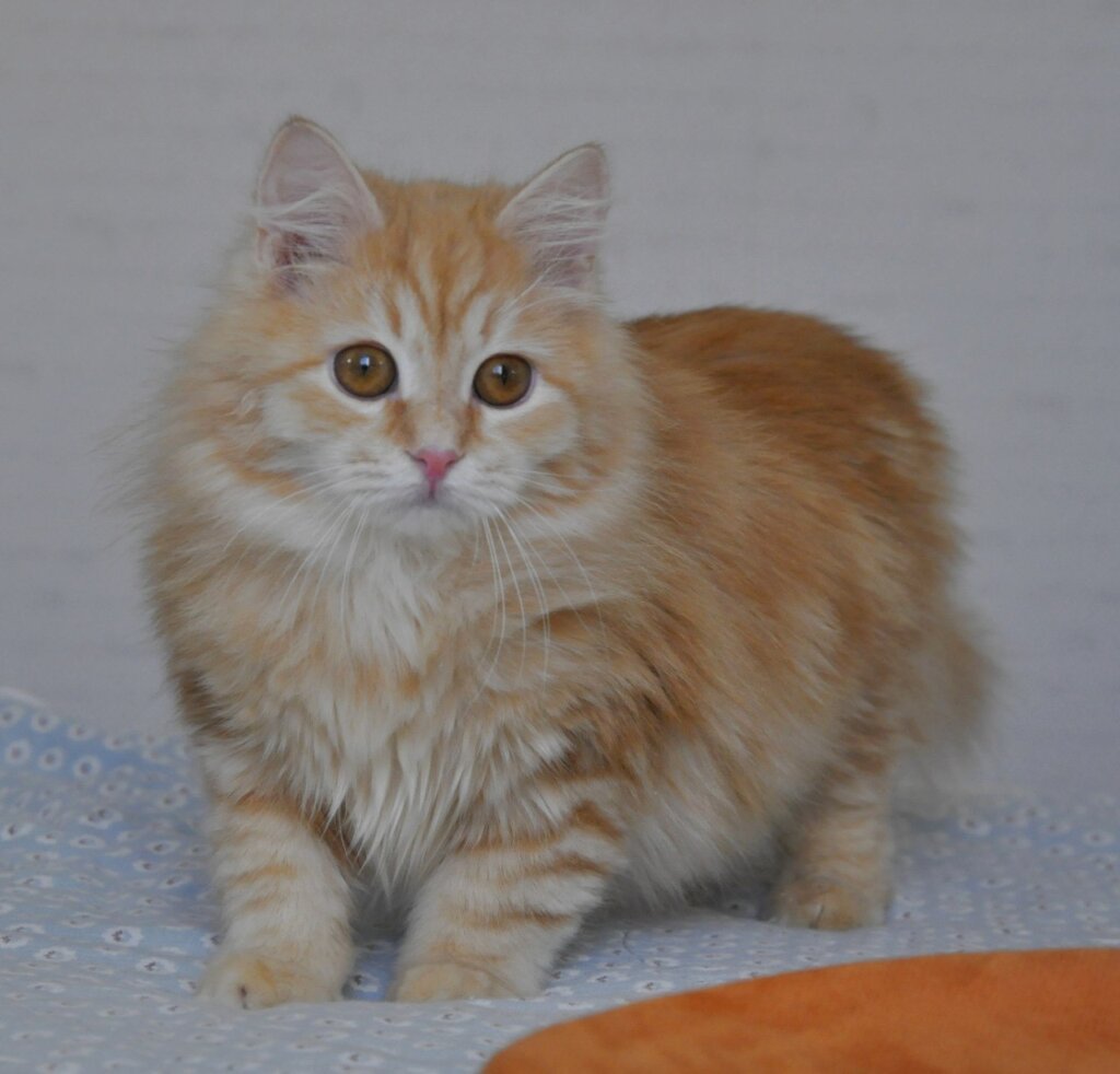 Photo 2026 03 03 14 07 32